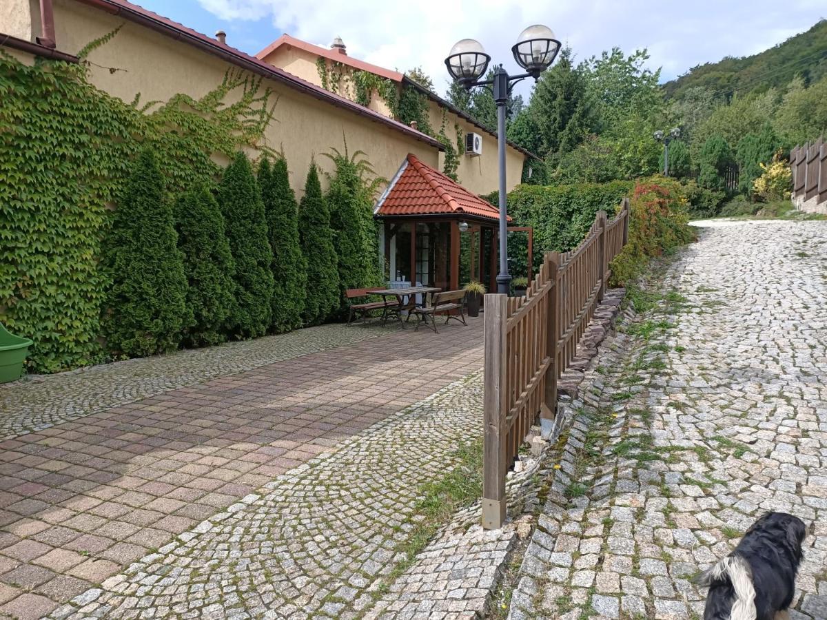 Zielone Wzgorze Hostel Wałbrzych Kültér fotó