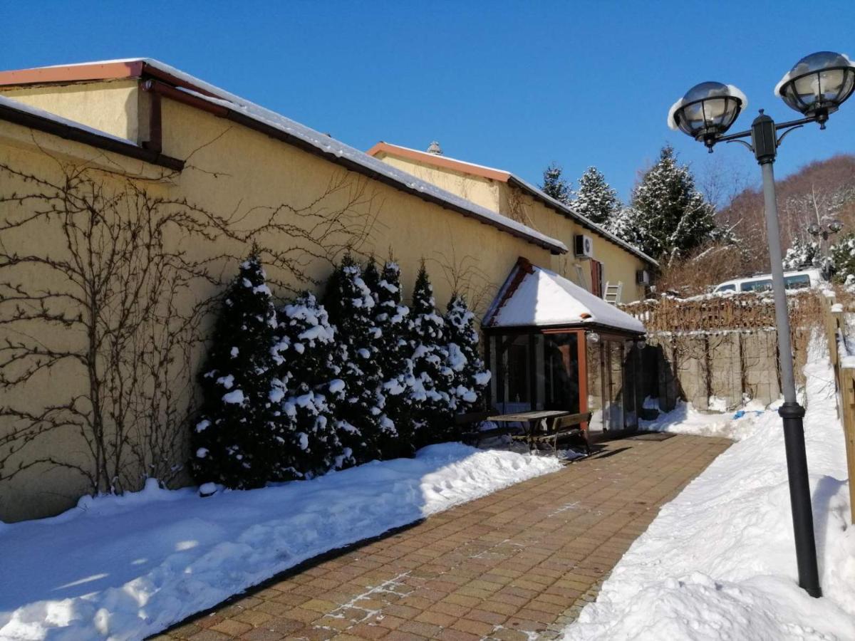 Zielone Wzgorze Hostel Wałbrzych Kültér fotó